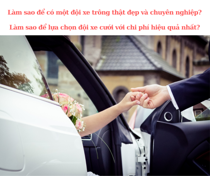 XE CƯỚI ĐÔNG HOÀ TẬN TÌNH TỪ A-Z 2 XE CƯỚI ĐÔNG HOÀ GIÁ RẺ