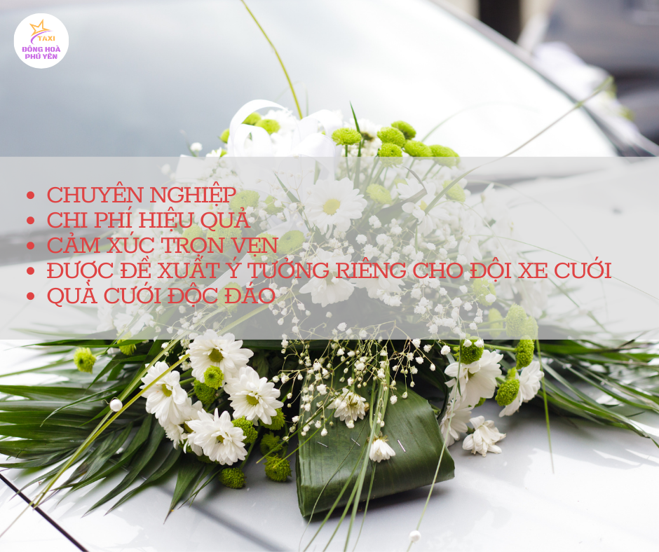 XE CƯỚI ĐÔNG HOÀ TẬN TÌNH TỪ A-Z 3 XE CƯỚI HOÀ VINH